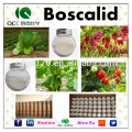 Top Quality Agrochemical/Fungicide Boscalid 98%TC 50%WDG CAS 188425-85-6